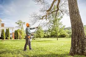 Best Tree Risk Assessment  in South Highpoint, FL